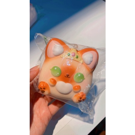 ibloom angel cat