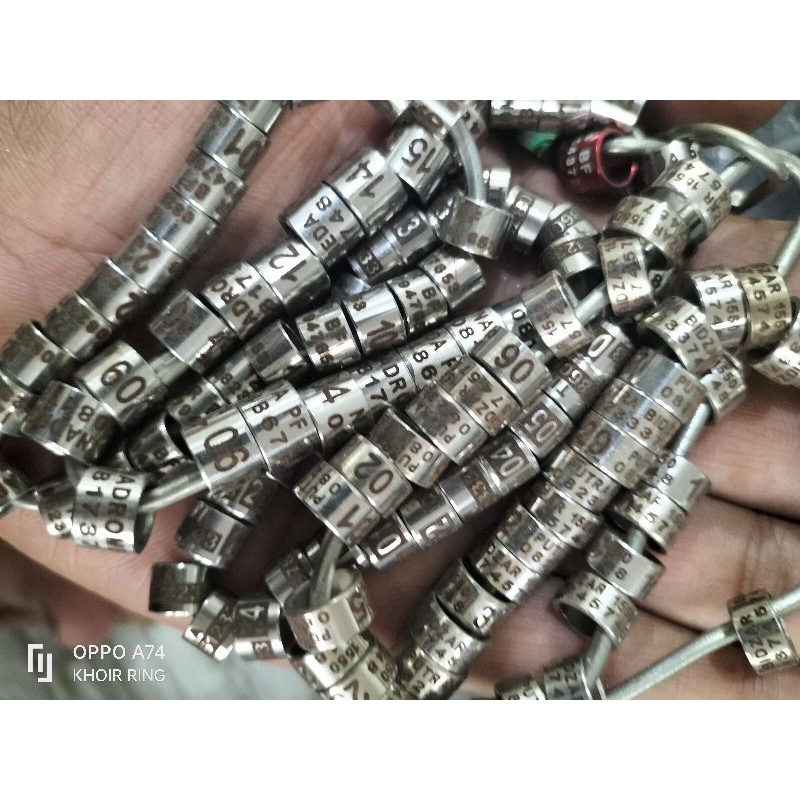 RING BURUNG MERPATI PUTER Bisa CETAK NAMA