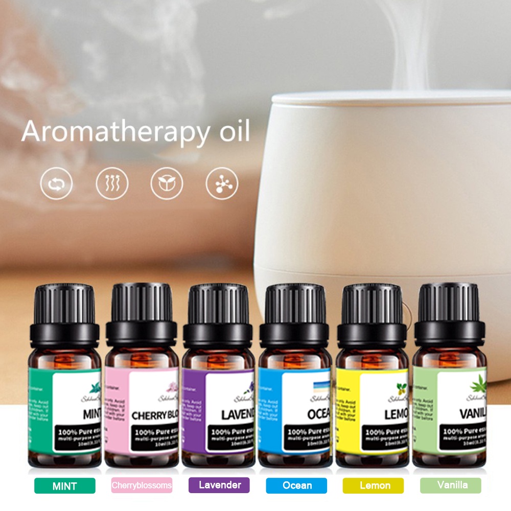 Fragrance Essential Oil Aromaterapi Gift Set Aroma Oil 6 in 1 / 10ml