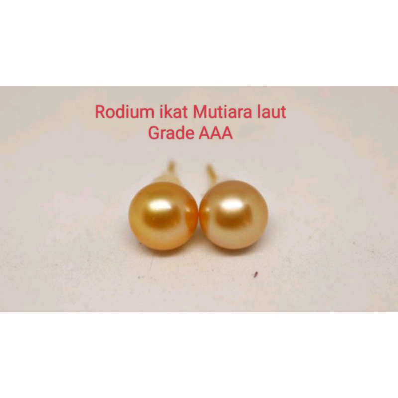 GIWANG MUTIARA LAUT ASLI GRADE AAA BERSERTIFIKAT