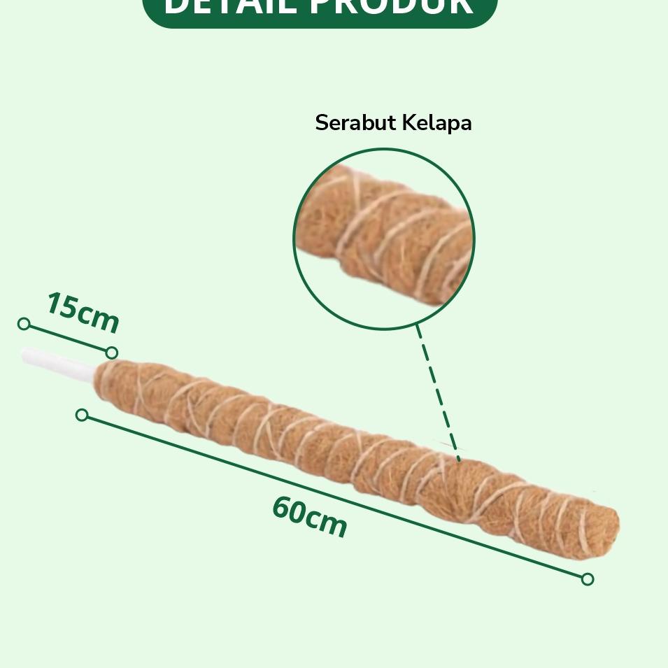 𝕴 INFARM - Turus Penyangga Tanaman Rambat 60 cm Sabut Kelapa Turus Sabut Kelapa ➮