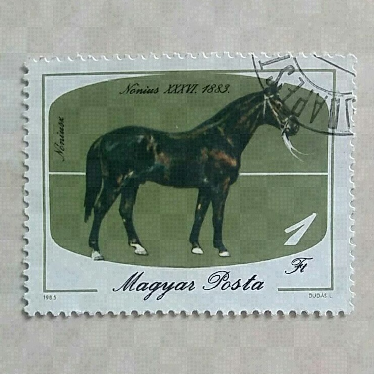 

(AD) Perangko Hongaria 1985 Bicentenary of Horsebreeding at Mezőhegyes Stud Farm - Nonius-36, 1883 1ft Used