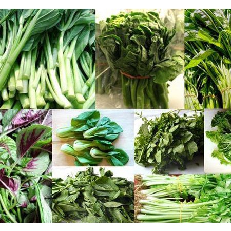 

Aneka Sayur Hijau Fresh Segar per Ikat