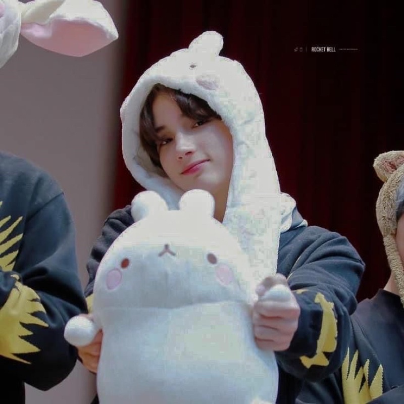 Boneka Molang - Boneka TXT