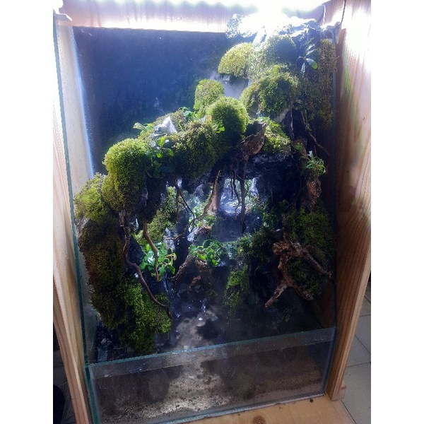 paludarium-custom-40x25cmtinggi-60cm-fullset