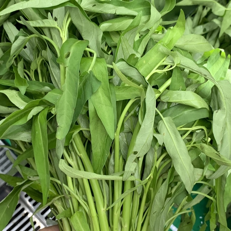 KANGKUNG KUALITAS PREMIUM (KHUSUS SAMEDAY DAN INSTAN)