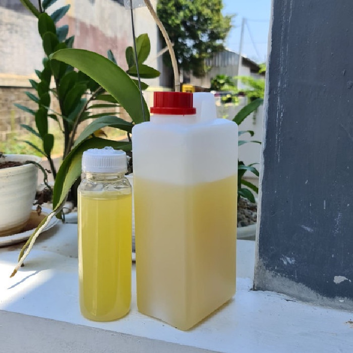 

Madu Curah Madu putih 1kg