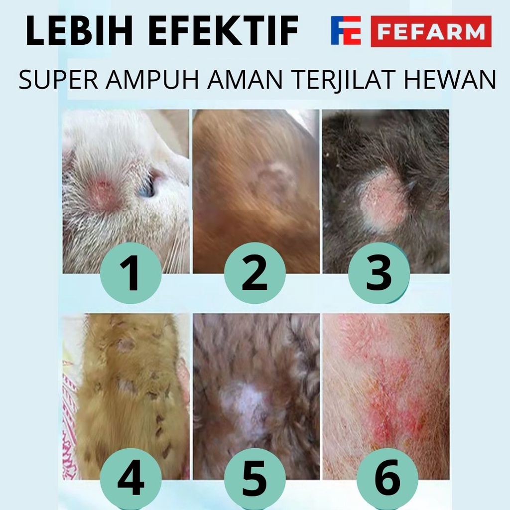 SALEP SCABIES JAMUR 30 GRAM OBAT JAMUR KUCING ANJING KELINCI AMPUH FEFARM