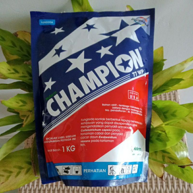 CHAMPION 77 WP 1 KG
