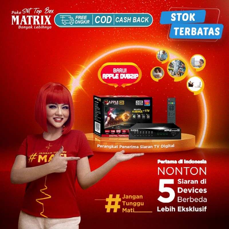 STB DVB T2 / SET TOP BOX MATRIX DVB2IP APPLE MERAH TV DIGITAL
