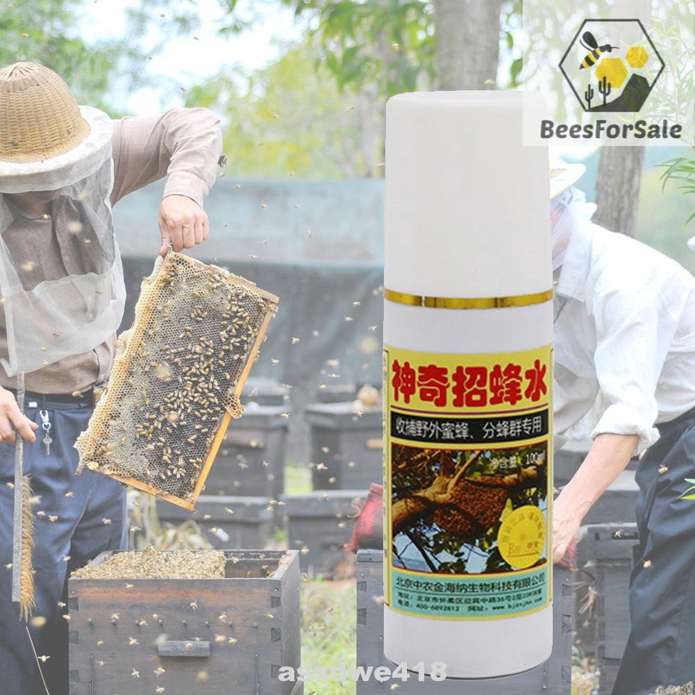 Pancingan Lebah Apis Swarm Commander