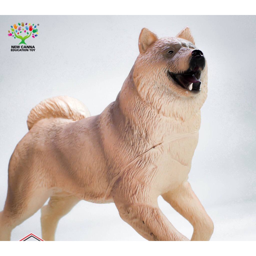 New Canna Squishy - Anjing Akita - X113