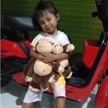 Boneka Rico Mongkey monyet lucu 30cm seulgi