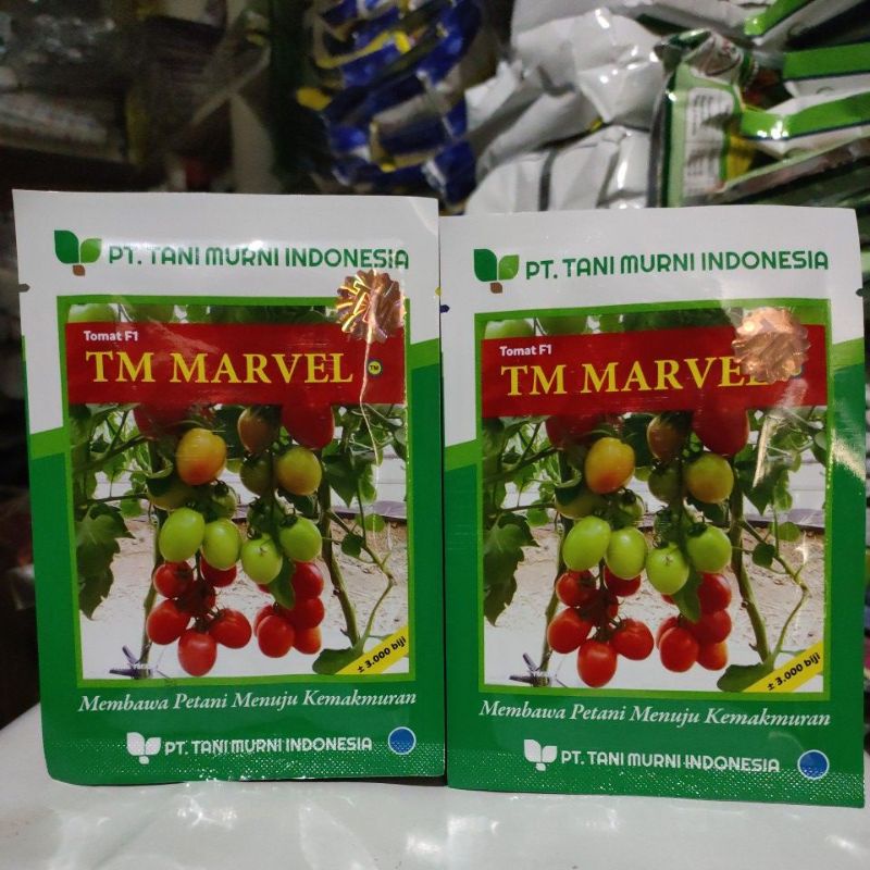 Benih Tomat F1 TM MARVEL (3.000 BIJI)