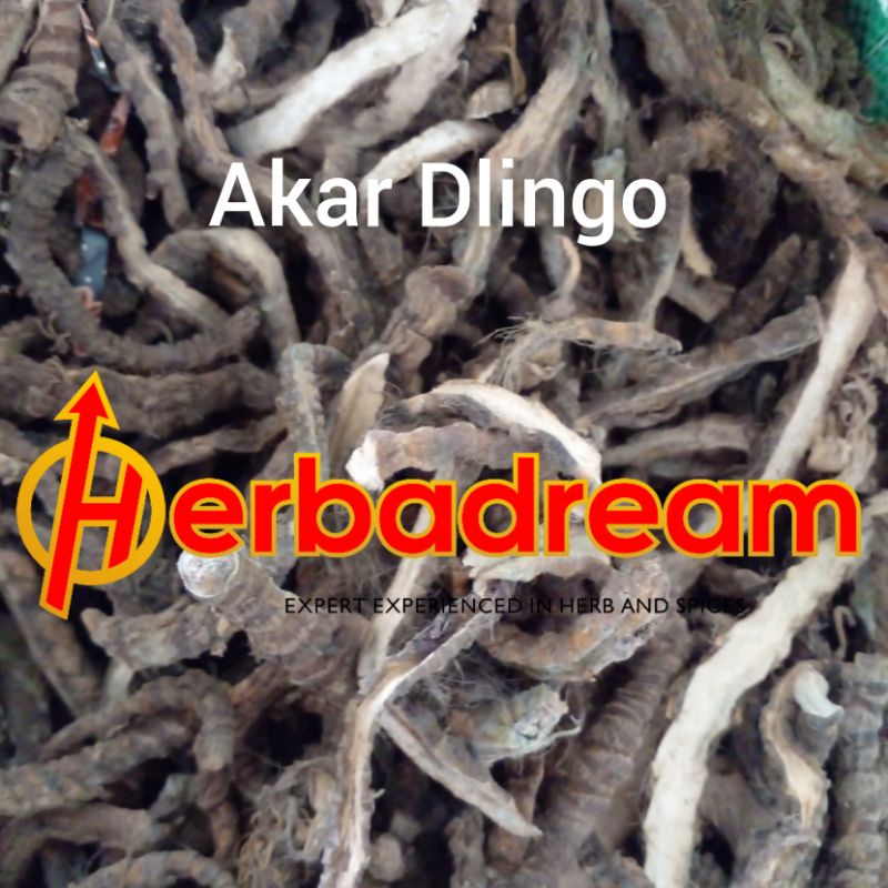 15 GRAM AKAR DELINGO DLINGO ACORUS CALAMUS DLINGU SWEET FLAG CHANG PU JERINGAU JERANGAU  KALIRAGA DR