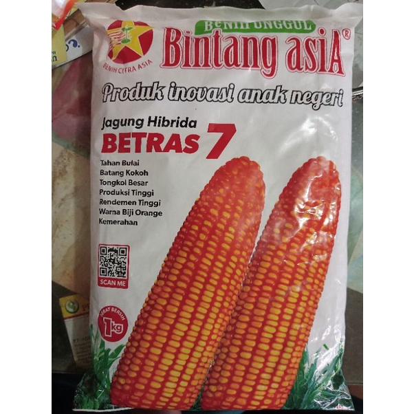 Benih Jagung BETRAS-7