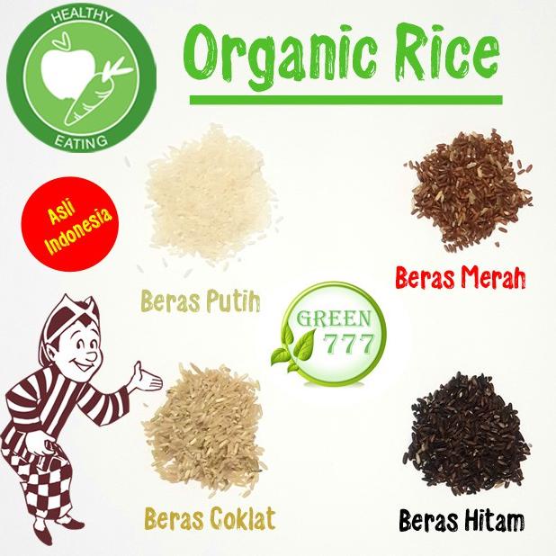 

☝ Low Carbs Mie Dry Shirataki Kering Pak Kembali isi 5 Keping bisa 3-4 orang ㅯ