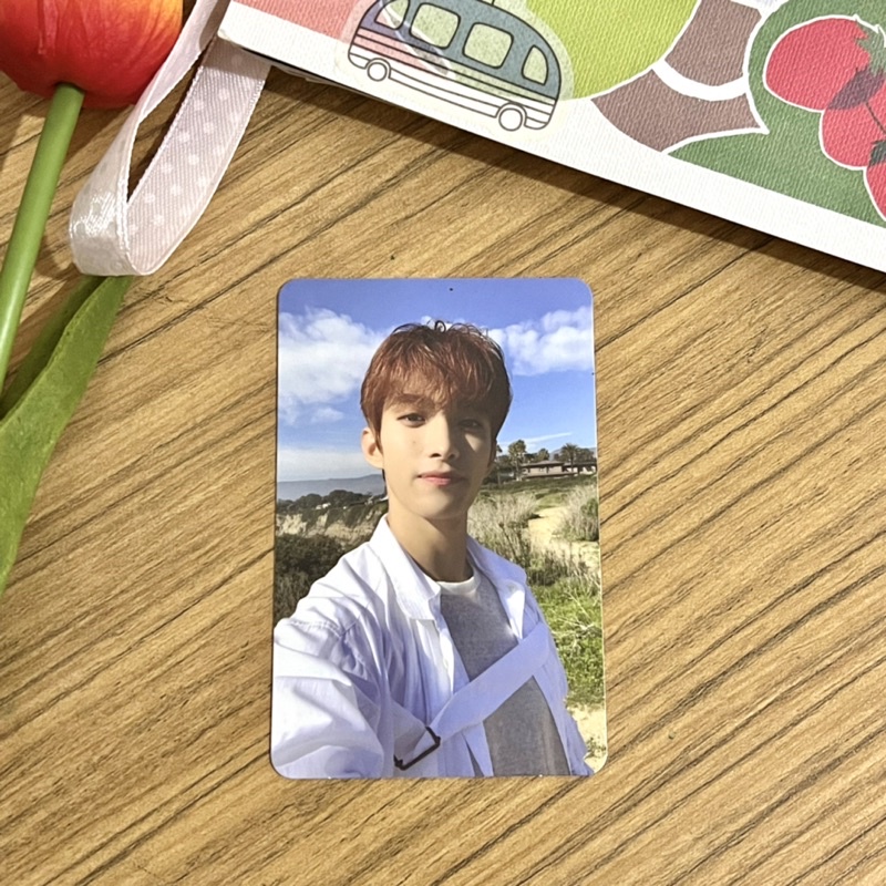 Seventeen DK photocard PC henggarae