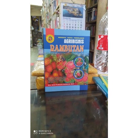 

agribisnis ramburan budidaya rambutan original