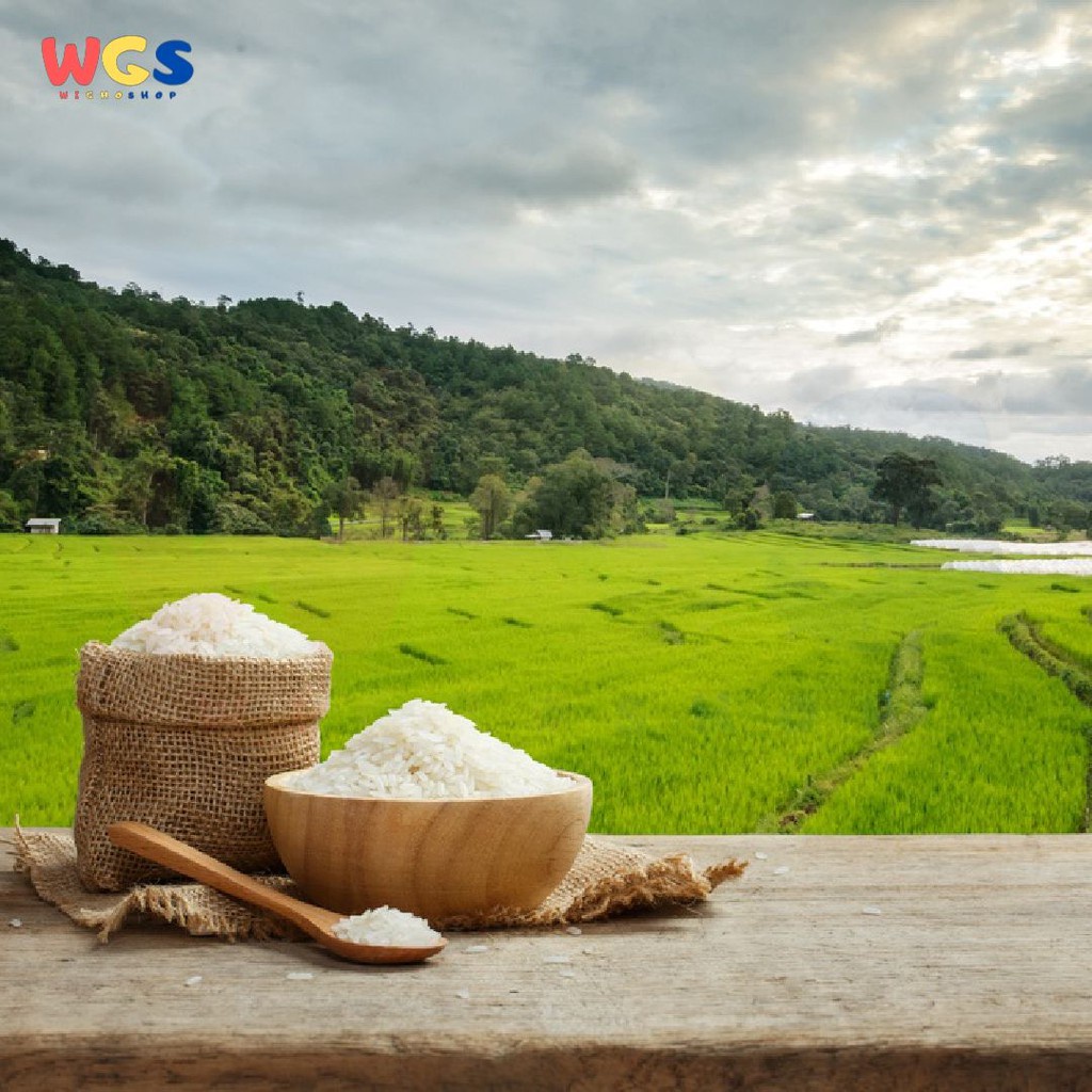 Beras Pandan Wangi Premium Asli Sintanur 5 kg - Beras Pulen
