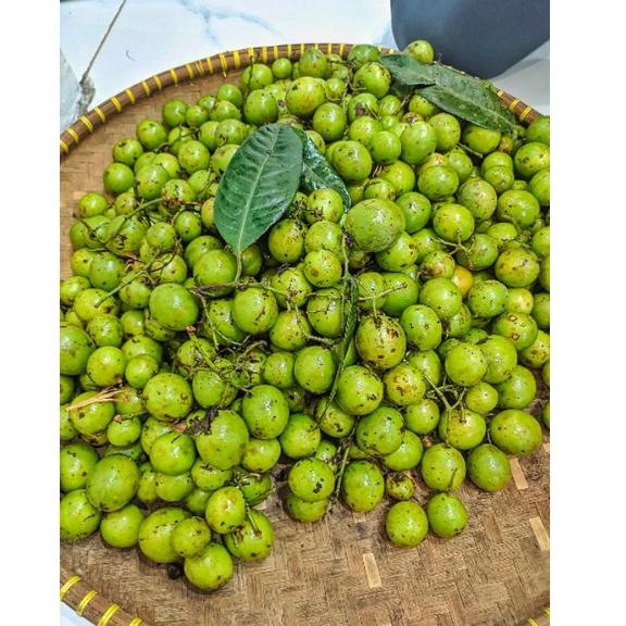 

[W41O]✉ Buah Jatake Gandaria 500gr No po siap kirim terviral