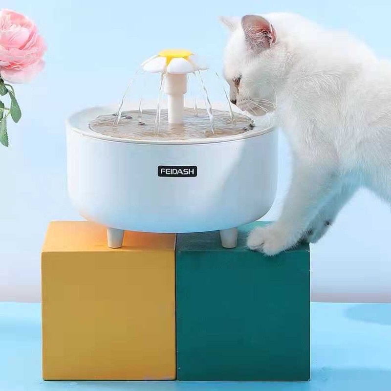 water fountain kucing