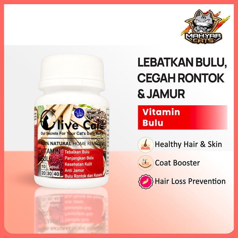 Olive Care Vitamin Kucing BULU untuk Bulu Panjang Lebat, Bulu Halus, Warna Bulu, Cegah Jamur dan Bulu Rontok