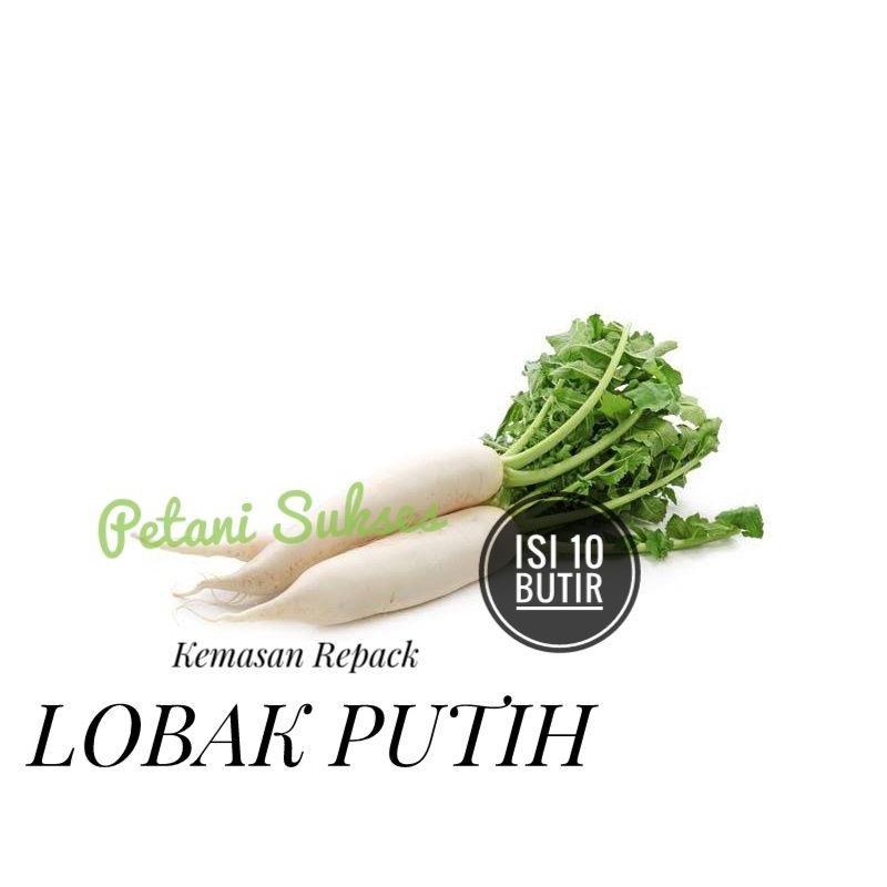 Jual 10 Butir Bibit Benih Sayuran Buah Lobak Putih 10 Butir Kemasan