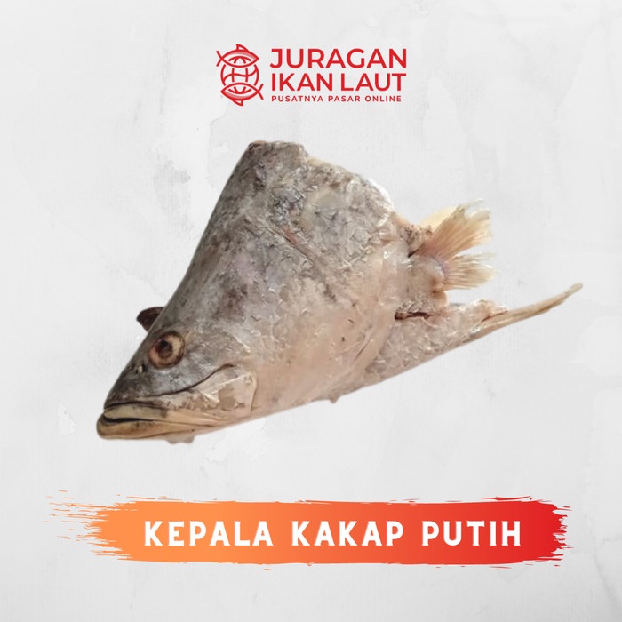 

Kepala Ikan Kakap Putih Segar - 1 Kepala JABODETABEK