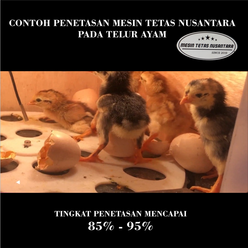 NUSANTARA INCUBATOR Mesin Tetas Telur Full Otomatis Kap.21 Rak Spinner Penetas Telur Otomatis