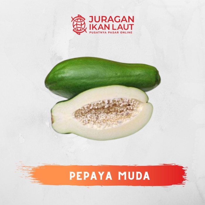 

Pepaya Muda Sayur Berkualitas - 1 Buah