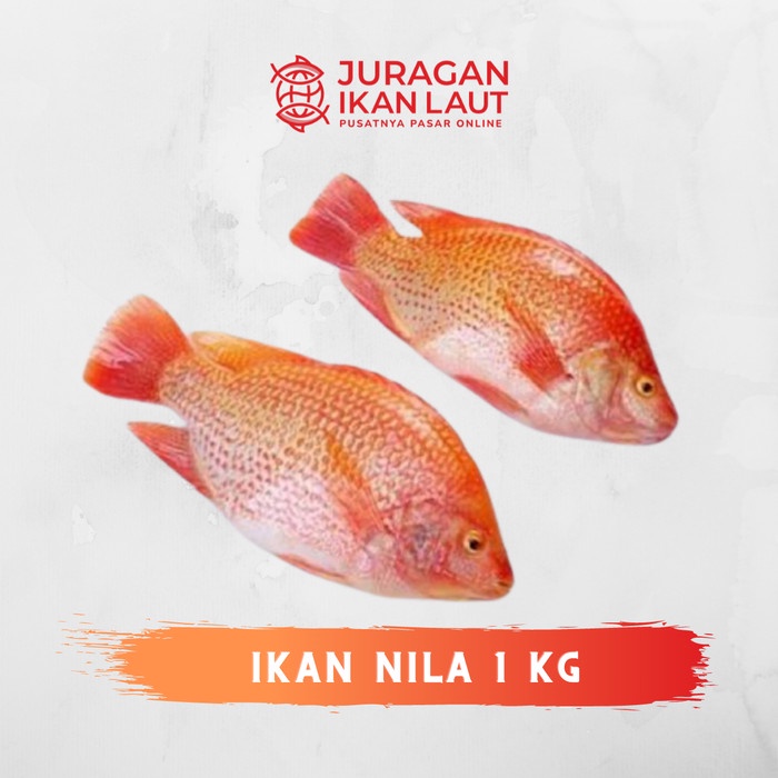 

Ikan Nila Segar Fresh Berkualitas - 1 Kilogram