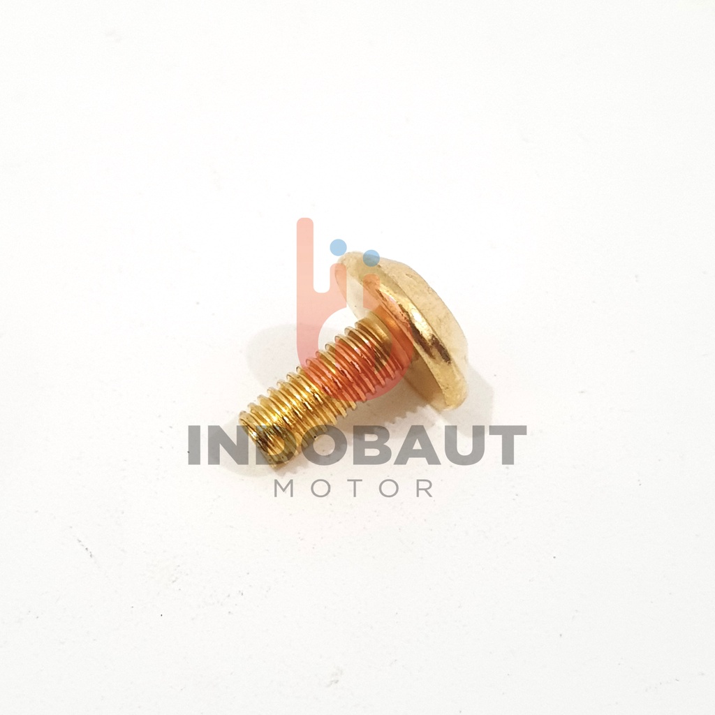 Baut Body Cover Vixion Kunci L5 GOLD