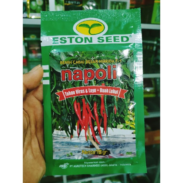 Cabe Besar Napoli F1 Cabe Besar Tahan Virus dan Layu Kemasan 10gr Original Pabrik Eston Seed