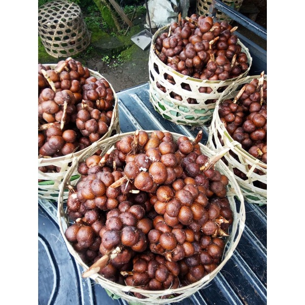 

SALAK GULA 100% ASLI (ciri salak gula asli: daging salak bewarna PUTIH dan daging tebal) Fresh langsung dari petani. Dijamin tanpa dicampur salak jenis lainnya.