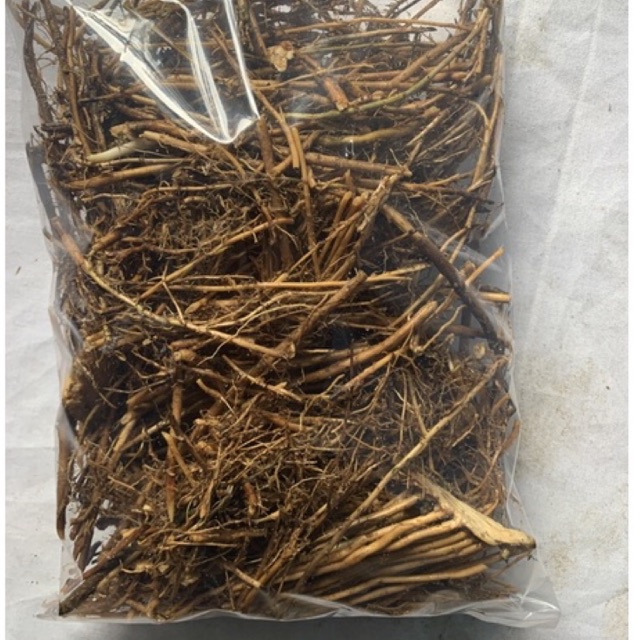 

Akar bambu kuning 250 gr