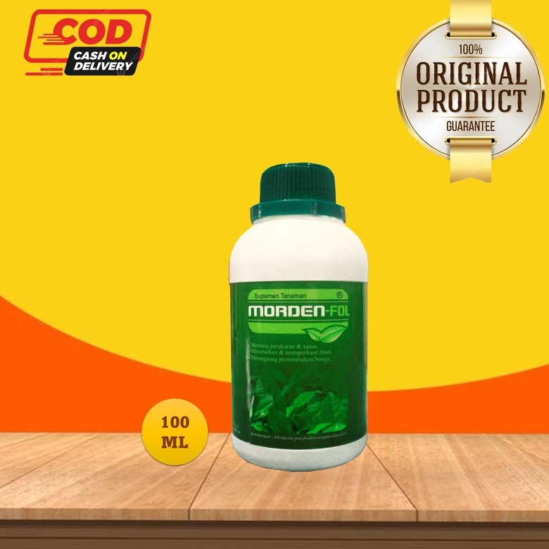 MORDEN FOLL 100 ML