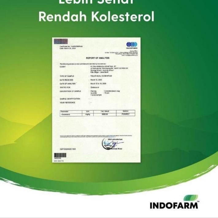 

EXCLUSIVE!Telur Ayam Kampung Omega Indofarm 20 pcs Original|SQ9