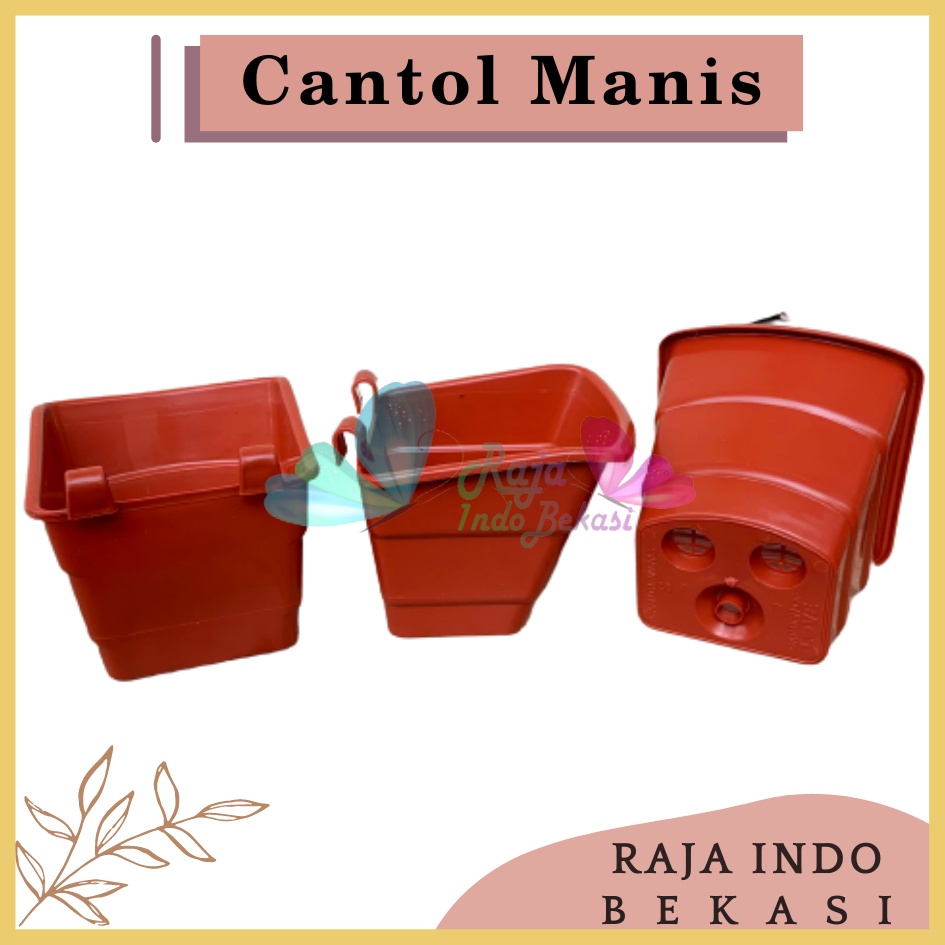 Rajaindobekasi Pot DINDING CANTOL TEMPEL TIP Coklat Merah Bata - Pot Dinding Tempel Manis Mini Murah Unik Pot Tempel Vertical Garden Pot Argo Mini