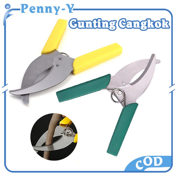 #@#@#@#@] Gunting Cangkok/Tanaman Gunting Cincin/Tanaman Bunga Hias Grafting