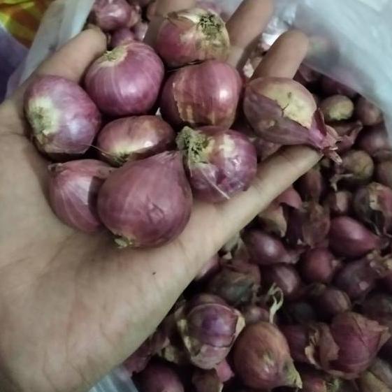 

SPECIAL PRICE Bawang merah lokal ★ 878