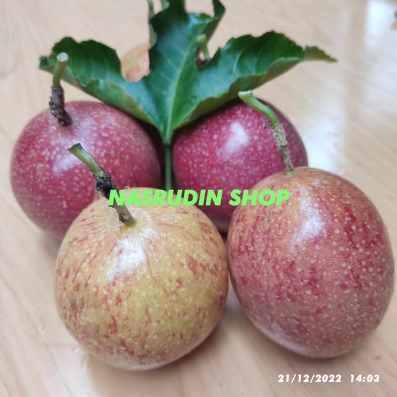 

MARKISA 1KG BUAH MARKISA SEGAR MARKISA MERAH / MARKISA KUNING / MARKISAH HIJAU