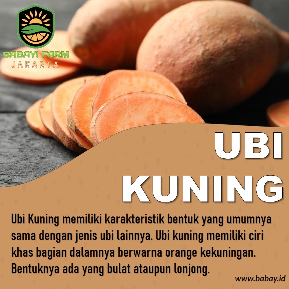 

ubi kuning ketela 250 500 gr / 1 kg