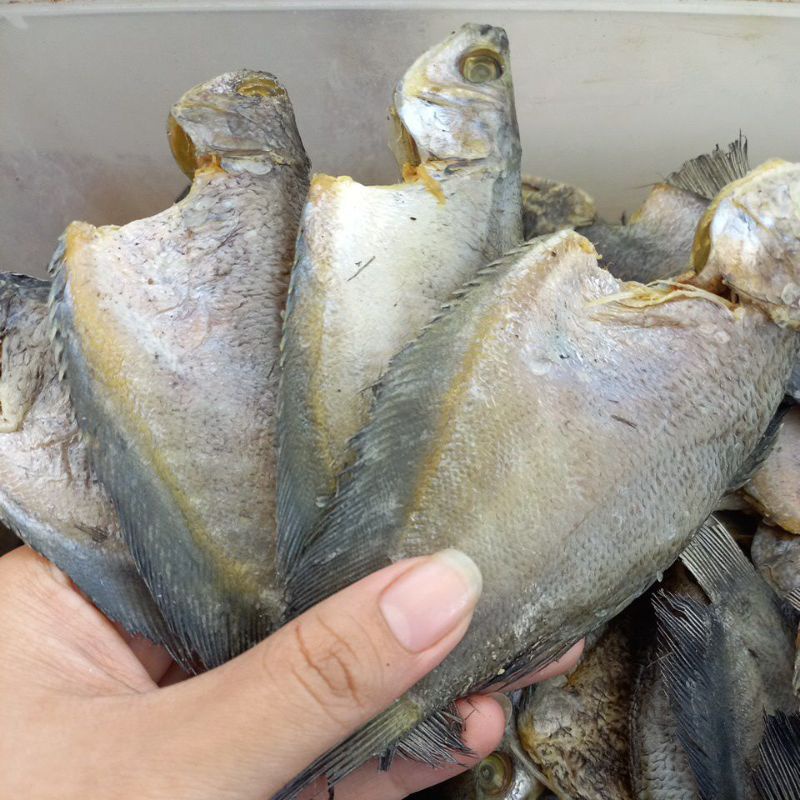 

Ikan Asin Sepat Siam Biasa 1kg
