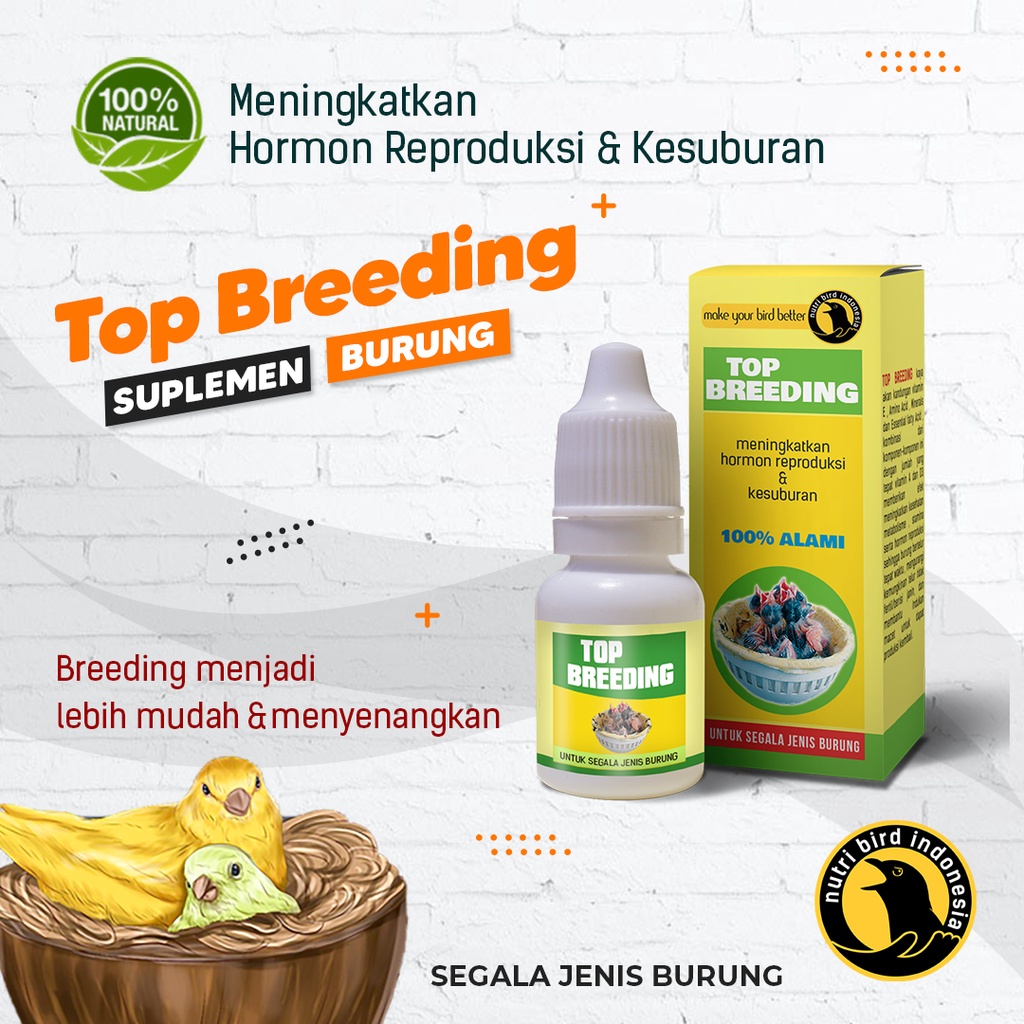 Top Breeding kesuburan dan birahi burung breeding