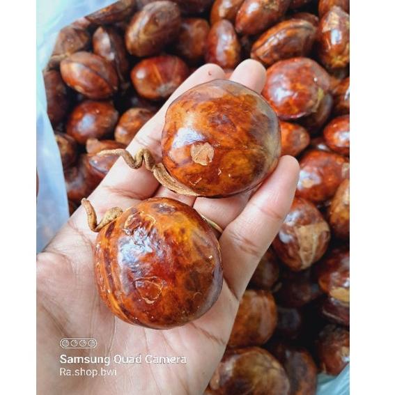 

Kode[K91L]☎ Jengkol Tua/jengkol punel berat 500gram berkualitas