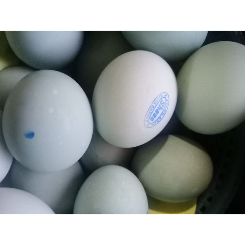 Jual Jual Telur Asin Harga Satuan | Telur Bebek | Telur Asin Harga