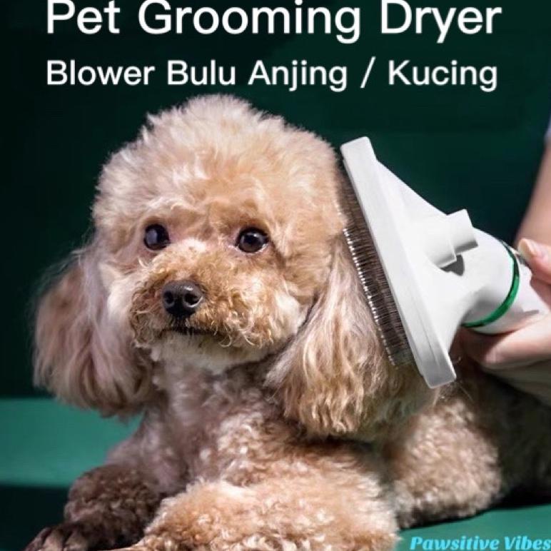Pet Grooming Dryer - Pengering Bulu Anjing Kucing Sisir Dan Blower 2 in 1 - Hair Dryer Hewan - Hair 