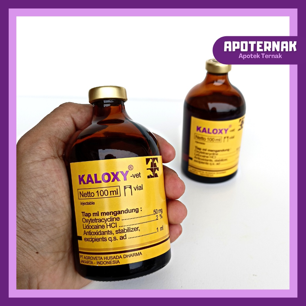 KALOXY VET 100 mL Oxy Tetra | Antibiotik Spektrum Luas Pernafasan dan Pencernaan | Seperti Vet Oxy SB | KALBE