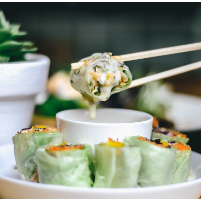 

Salad Roll By Serasa Tx0581
